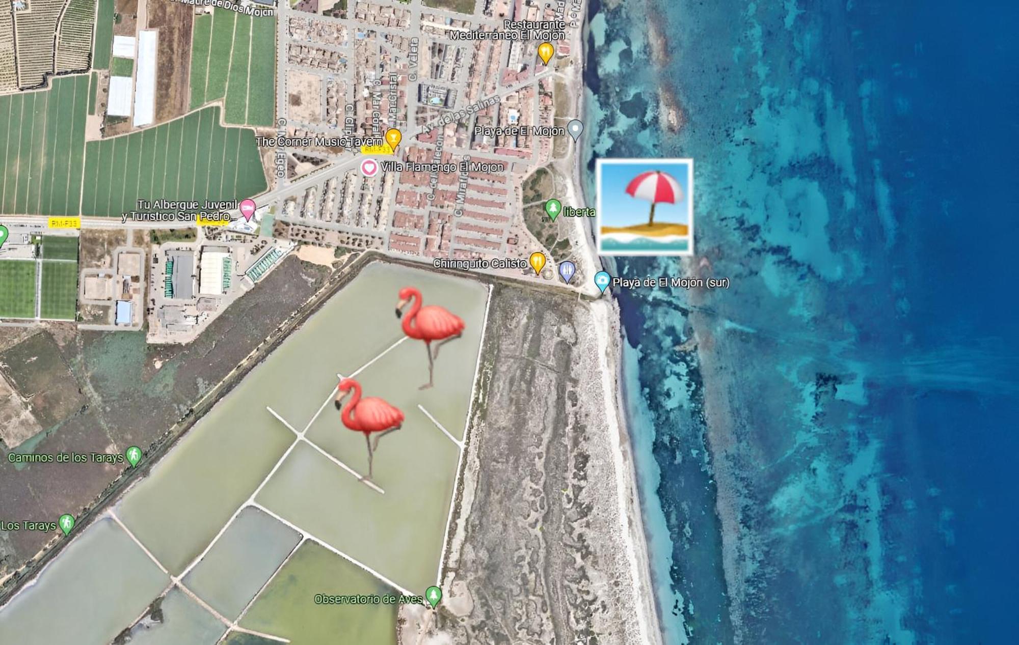 Flamingo Vila Alicante Сан-Педро-дель-Пинатар Экстерьер фото